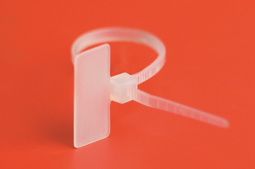 19f804081634548b3c9513319b365180