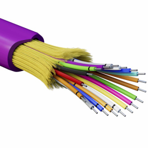 d4xry9dpmyf7y1q2tvstqem6jc5vy7f0