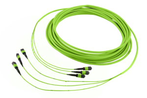 43M-50-08-M1-M1-010-0G-FFB-51_0