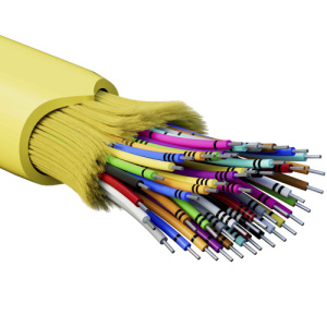 vxd5ubrs3jutpt1k7s0ge4fkmx2ocgq4