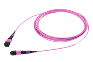 43M-40-08-M8-M8-003-FFB-55_0