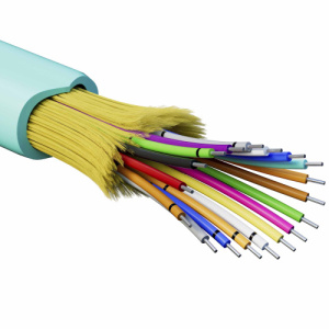 r6bppb95q6a7v6rpft22ncjsocr2tk4l