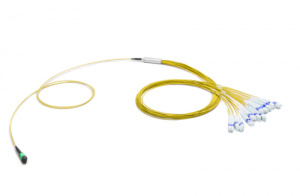 43H-S2-24-M2-LC-002-0E-M-10_0