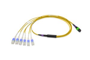 43H-S3-08-M1-LC-003-0G-M-51_0