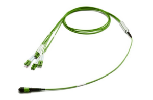 43H-50-08-M8-LC-060-0E-M-10_0