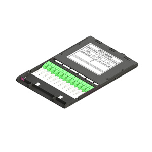 49M-50-12-2L-00-06BL_1