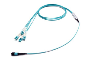 43H-30-08-M8-LC-070-0E-M-10_0