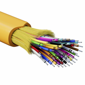 zw9b1fwe7t0bmbmn7tqz20qmsz0lo5qf