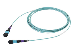 43M-30-08-M8-M8-005-FFB-55_0