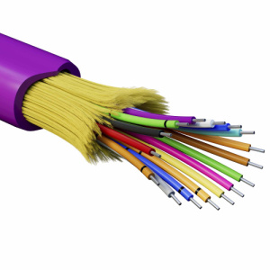 dwveztary7b5u51jwxa7waauzorr7d0i