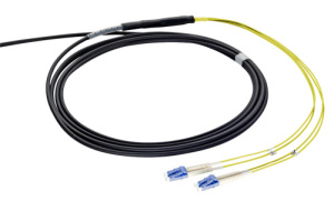 43T-S2-06-LC-LC-003-01-T01-20_0