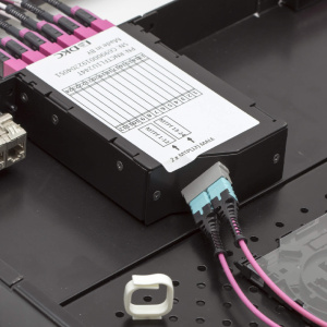 am00mablwcpv1l0w5oea533zs8kkgb41